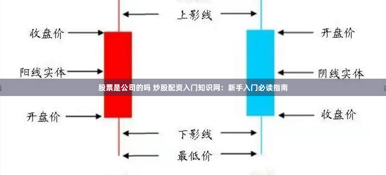 股票是公司的吗 炒股配资入门知识网：新手入门必读指南