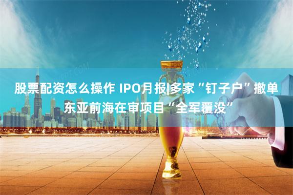 股票配资怎么操作 IPO月报|多家“钉子户”撤单 东亚前海在审项目“全军覆没”